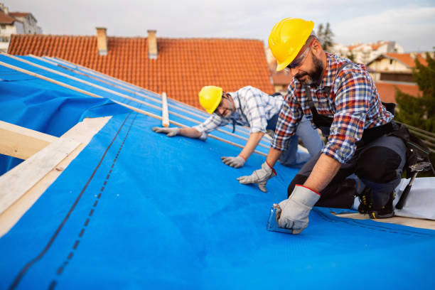 Best Roof Maintenance Services  in Houghton, MI